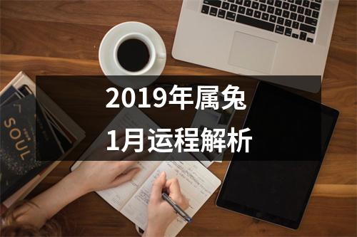 2019年属兔1月运程解析