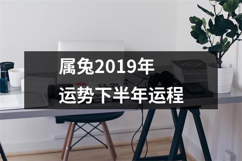 属兔2019年运势下半年运程