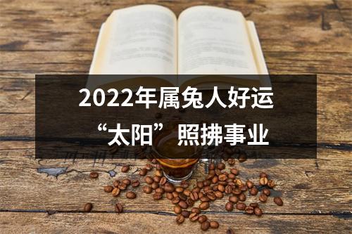 2025年属兔人好运“太阳”照拂事业