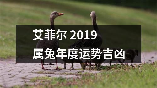 艾菲尔2019属兔年度运势吉凶