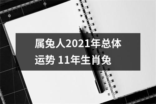 属兔人2025年总体运势11年生肖兔