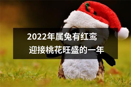 2025年属兔有红鸾迎接桃花旺盛的一年