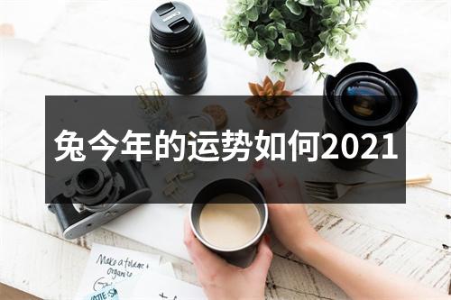 兔今年的运势如何2025