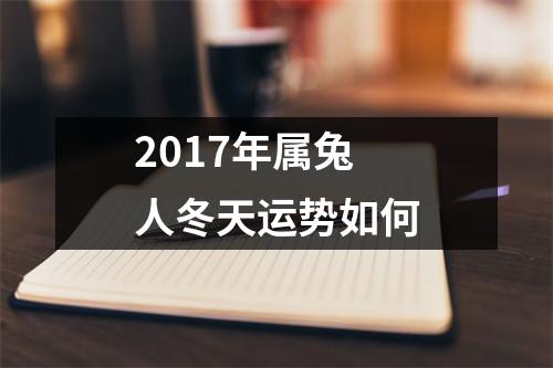 2017年属兔人冬天运势如何