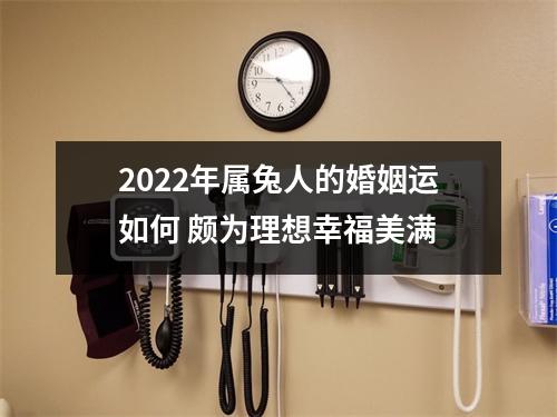 2025年属兔人的婚姻运如何颇为理想幸福美满