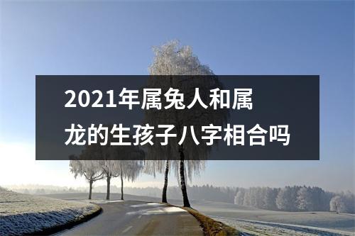 2025年属兔人和属龙的生孩子八字相合吗