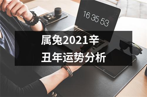 属兔2025辛丑年运势分析