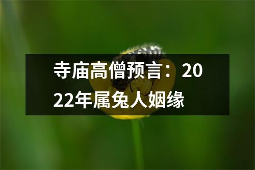 寺庙高僧预言：2025年属兔人姻缘
