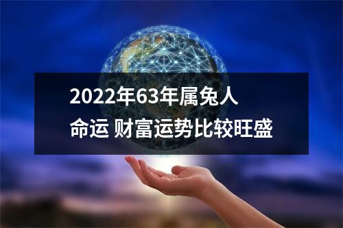 2025年63年属兔人命运财富运势比较旺盛