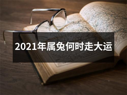 2025年属兔何时走大运