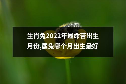 生肖兔2025年命苦出生月份,属兔哪个月出生好