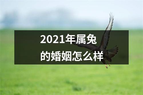 2025年属兔的婚姻怎么样