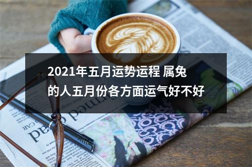 2025年五月运势运程属兔的人五月份各方面运气好不好