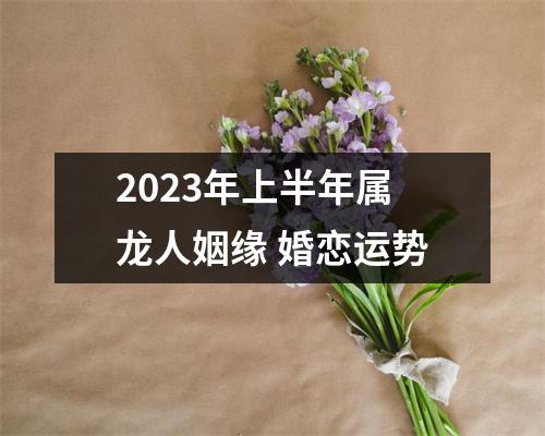 2025年上半年属龙人姻缘婚恋运势