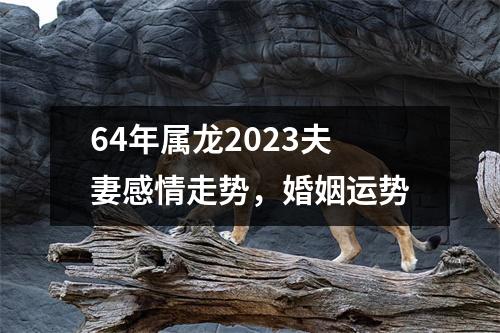 64年属龙2025夫妻感情走势，婚姻运势