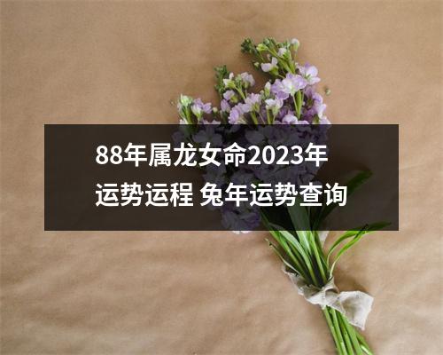 88年属龙女命2025年运势运程兔年运势查询