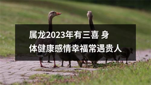 属龙2025年有三喜身体健康感情幸福常遇贵人