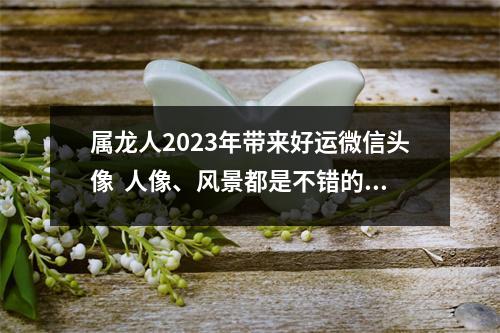 属龙人2025年带来好运微信头像人像、风景都是不错的选择