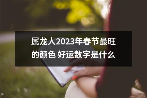 属龙人2025年春节旺的颜色好运数字是什么