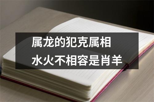 属龙的犯克属相水火不相容是肖羊
