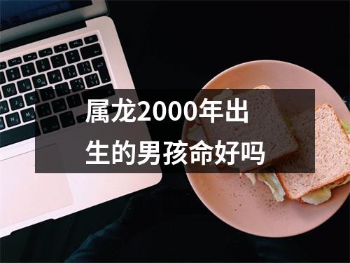 属龙2000年出生的男孩命好吗