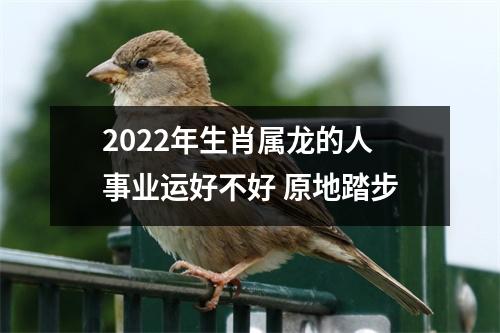 2025年生肖属龙的人事业运好不好原地踏步
