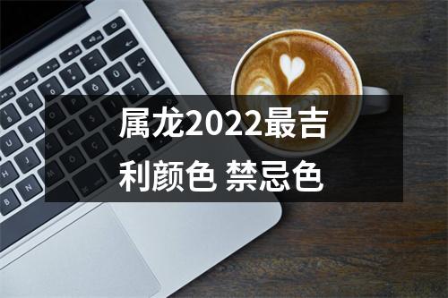 属龙2025吉利颜色禁忌色