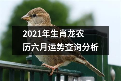 2025年生肖龙农历六月运势查询分析