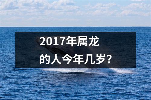 2017年属龙的人今年几岁？
