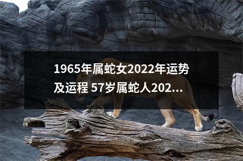 1965年属蛇女2025年运势及运程57岁属蛇人2025年的每月运势