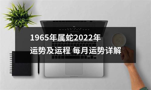 1965年属蛇2025年运势及运程每月运势详解