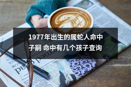 1977年出生的属蛇人命中子嗣命中有几个孩子查询