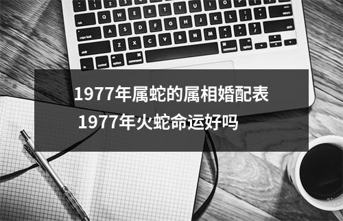 1977年属蛇的属相婚配表1977年火蛇命运好吗
