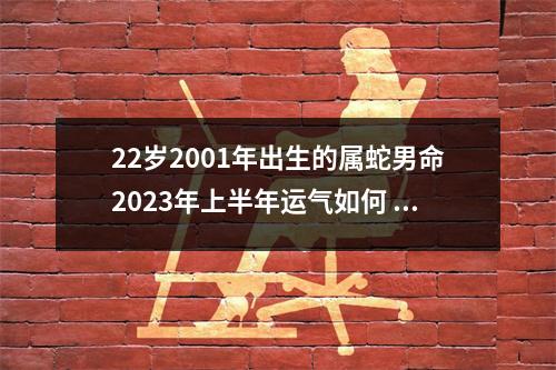22岁2001年出生的属蛇男命2025年上半年运气如何运势详解