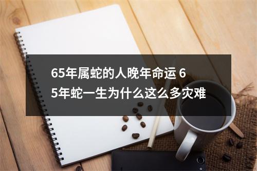 65年属蛇的人晚年命运65年蛇一生为什么这么多灾难