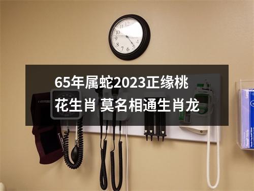 65年属蛇2025正缘桃花生肖莫名相通生肖龙