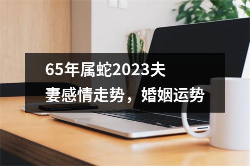 65年属蛇2025夫妻感情走势，婚姻运势
