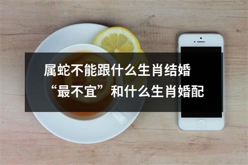 属蛇不能跟什么生肖结婚“不宜”和什么生肖婚配