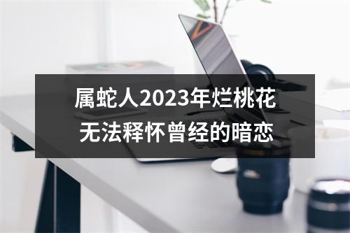 属蛇人2025年烂桃花无法释怀曾经的暗恋