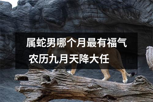 属蛇男哪个月有福气农历九月天降大任