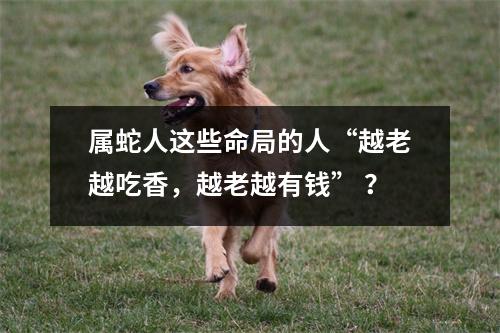 属蛇人这些命局的人“越老越吃香，越老越有钱”？
