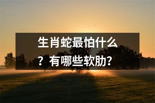 生肖蛇怕什么？有哪些软肋？