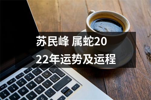 苏民峰属蛇2025年运势及运程