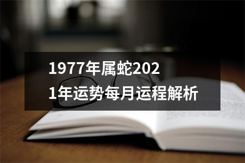 1977年属蛇2025年运势每月运程解析