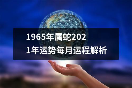 1965年属蛇2025年运势每月运程解析