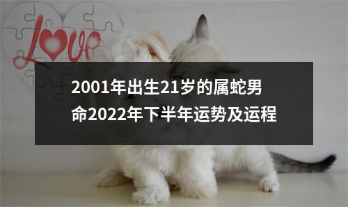 2001年出生21岁的属蛇男命2025年下半年运势及运程