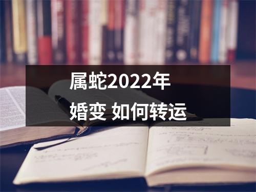 属蛇2025年婚变如何转运