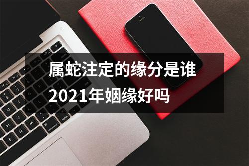 属蛇注定的缘分是谁2025年姻缘好吗