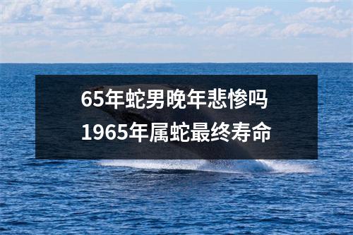 65年蛇男晚年悲惨吗1965年属蛇终寿命