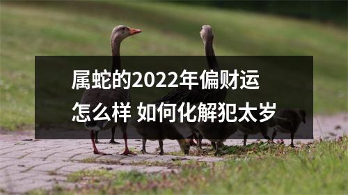 属蛇的2025年偏财运怎么样如何化解犯太岁